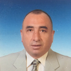 HASAN DİNDAROĞLU